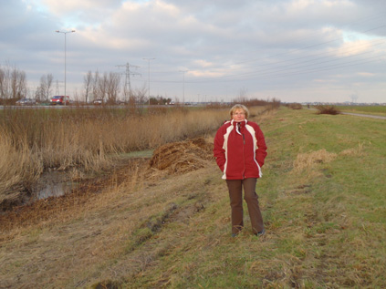 Crash Site February 2011